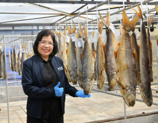 อธิบดีกรมทรัพย์สินทางปัญญาลงพื้นที่จังหวัดนราธิวาส