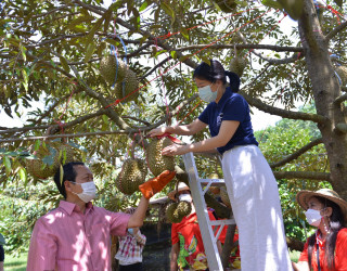 กรมทรัพย์สินทางปัญญา