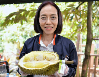 อธิบดีกรมทรัพย์สินทางปัญญา