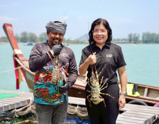 อธิบดีกรมทรัพย์สินทางปัญญา