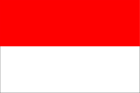 การจดสิทธิบัตรในประเทศอินโดนีเซีย
