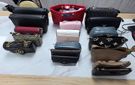 การปราบปรามการละเมิดทรัพย์สินทางปัญญา