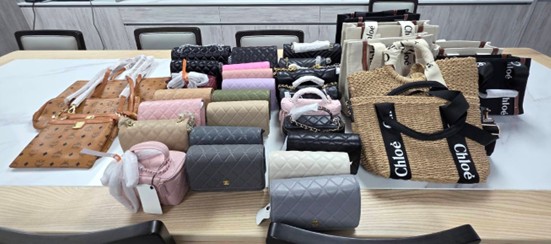 การปราบปรามการละเมิดทรัพย์สินทางปัญญา