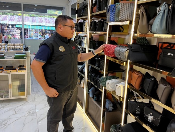 การปราบปรามการละเมิดทรัพย์สินทางปัญญา