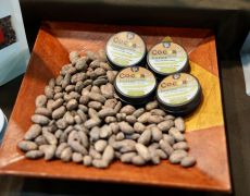 DIP