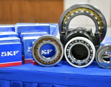 DIP