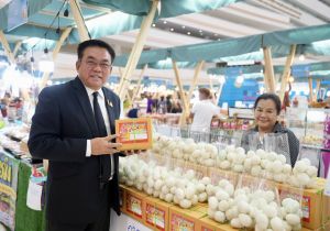 นายวิโรจน์ จงกลวานิชสุข รองอธิบดีกรมทรัพย์สินทางปัญญา เข้าร่วมพิธีเปิดงาน “South Connect 2026 เชื่อมเมืองใต้สู่เวทีโลก" วันที่ 24 กุมภาพันธ์ 2569 ณ ศูนย์ราชการแจ้งวัฒนะ กรุงเทพ