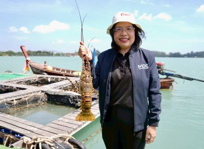 กรมทรัพย์สินทางปัญญา บุกแพ ล็อบสเตอร์เมืองไทย  ตรวจเยี่ยมการผลิต “กุ้งมังกร 7 สีภูเก็ต” GI น้องใหม่ของจังหวัด เล็งต่อยอดการตลาดเชิงรุก ดันเป็นวัตถุดิบไฟน์ไดนิ่ง  ปักหมุดแลนด์มาร์กท่องเที่ยวเชิงอาหาร