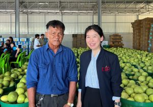 นางสาวกนิษฐา กังสวนิช รองอธิบดีกรมทรัพย์สินทางปัญญา  ลงพื้นที่จังหวัดพิษณุโลก พิจิตร นครสวรรค์  ติดตามสถานการณ์การค้าพบปะผู้ประกอบการค้าส้มโอท่าข่อยเมืองพิจิตร สินค้า GI