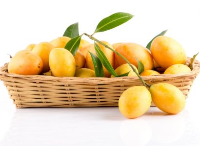 กรมทรัพย์สินทางปัญญา ผนึกกำลังร้าน Blue by Alain Ducasse เสิร์ฟเมนูสุดพิเศษ "เดนิชมะยงชิด" บนโต๊ะมิชลิน! ยกระดับ GI ไทย ผสานขนมอบสไตล์ฝรั่งเศสได้อย่างลงตัว