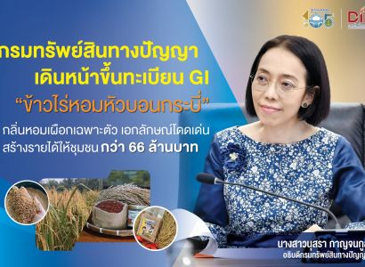 กรมทรัพย์สินทางปัญญา เดินหน้าขึ้นทะเบียน GI “ข้าวไร่หอมหัวบอนกระบี่” กลิ่นหอมเผือกเฉพาะตัว เอกลักษณ์โดดเด่น สร้างรายได้ให้ชุมชนกว่า 66 ล้านบาท